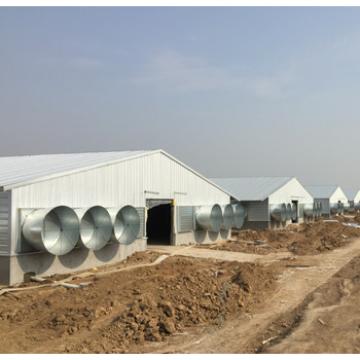professional high quality with low price modern poultry house/chicken house hen building in China