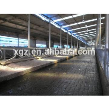 Steel structure Cow shed