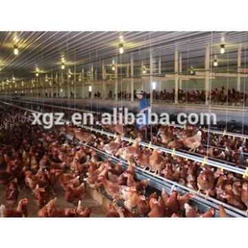 cheap steel chicken egg poultry farm broiler, layer chicken house