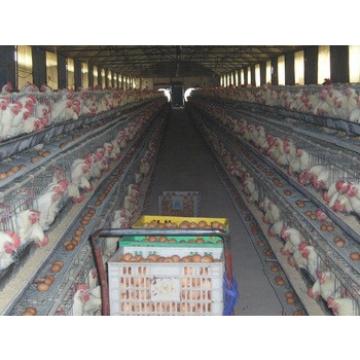 Low-cost Layer Egg Chicken Cage/Poultry Farm House Designs