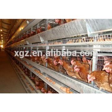 cheap steel structure automatic chicken layer cage for sale in philippine