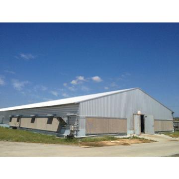 steel structure poultry building with full automatic equipment