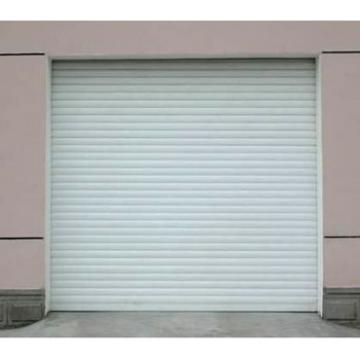 electric upward sliding single/double garage door