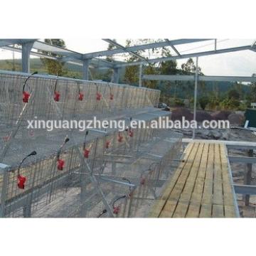 bird cage wire mesh broiler cage system chicken farm/chicken shed