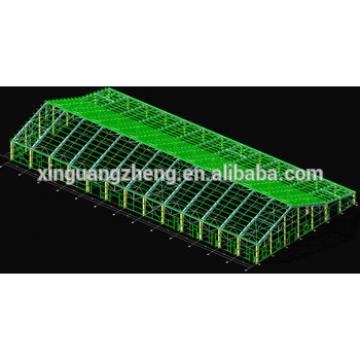 manufacturer of steel structure workshop,plant, warehouse, storage, hangar in China