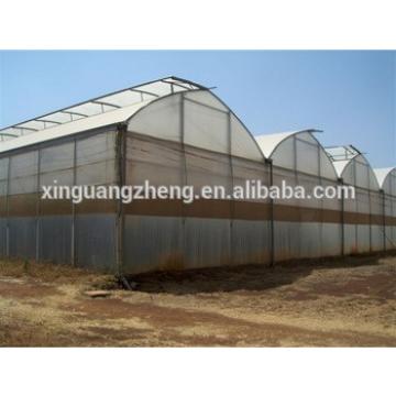 prefabricated metal steel agricultural greenhouse used sale