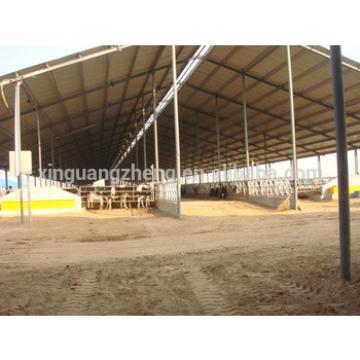 cheap steel structure cow farm house in Bangladesh