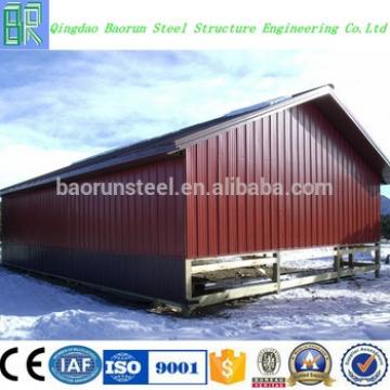 China professional steel structure shed design