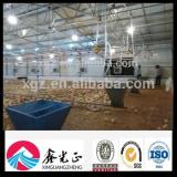 china brolier layer cheap chicken egg house for sale