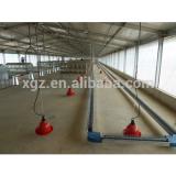 H type automatic chicken layer cage equipment