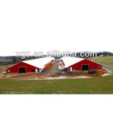 cheap steel structure chicken house