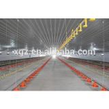 XGZ structural steel material shed for chicken